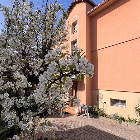 T3 + Veranda A Strasbourg Bagian luar foto