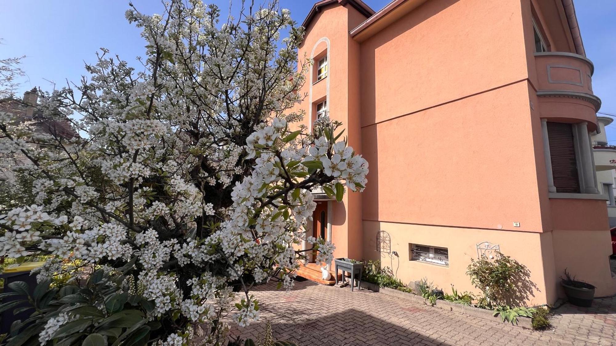 T3 + Veranda A Strasbourg Bagian luar foto