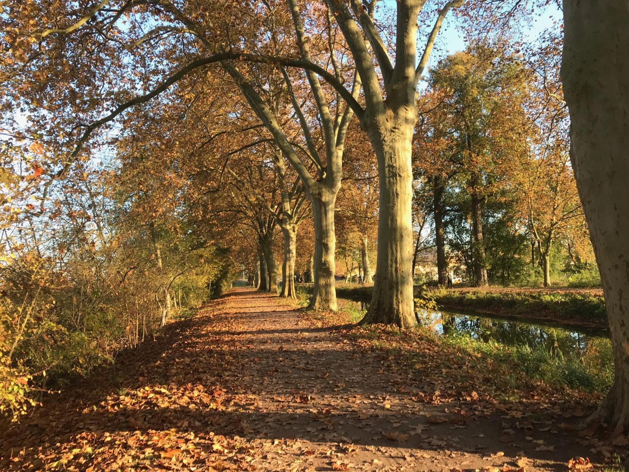 T3 + Veranda A Strasbourg Bagian luar foto